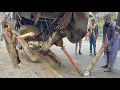 Lagu Roadside Truck Repair: Axle and Housing Damage