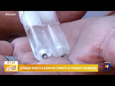 Combate ao mosquito da dengue em Blumenau: mais de 530 focos identificados em um mês