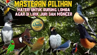 masteran kombinasi pilihan special buat burung lomba mampu menarik perhatian para juri 