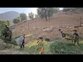 Download Lagu Par family. Narges discharge from hospital and meeting with Haidar in the tribal area and