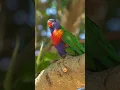 Download Lagu Музыка расслабляет нервную систему, улучшает память🌿 Сергей Грищук музыка