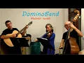 Download Lagu DominoBand - Medvědi nevědí (Ivan Mládek)