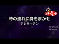【カラオケ】時の流れに身をまかせ / テレサ・テン