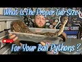 What Is The Proper Tub Size For Your Ball Pythons During Different Stages Of Growth