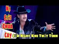 Download Lagu NỤ CƯỜI CHUA CAY - CA SĨ: LÂM BỬU HOÀ.