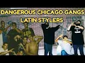 Dangerous Chicago Gangs Latin Stylers - From Logan Square to Gage Park