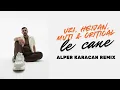 UZI, Heijan, Muti & Critical - LE CANE ( Alper Karacan Remix )