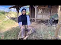 Lagu PERAWAN DESA CANTIK ALAMI HIDUP SEDERHANA DI PELOSOK PEDESAAN JAWA BARAT