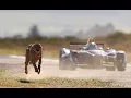 Download Lagu Drag Race: Formula E Car vs Cheetah