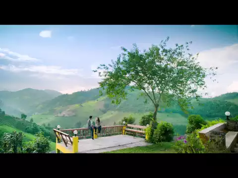 Trailer สี่เส้า Love is V.2
