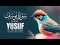Download Lagu Surah Yusuf | By Ibn Bashiir | With Arabic Text \u0026 Translation |