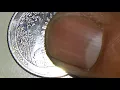 2015 P LOUISIANA STATE QUARTER EXTRA TOE AND CUD ON TAIL MINT ERROR REVERSE