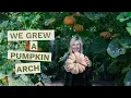 How to Grow a Pumpkin Arch