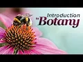 Download Lagu Plant Science: An Introduction to Botany | Wondrium MP3