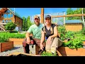Gardening Chores Homegrown Dinner Summer Days on Our Alaska Homestead