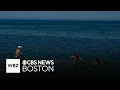 The temperature of the ocean has hit a record high Here s what that means for Massachusetts