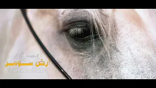 اصيل هميم   ارض س  وم ر   حصريا          دندنها