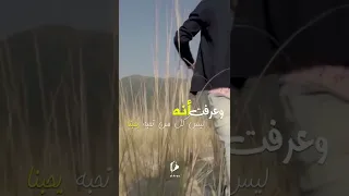 كبرت يا أمي    وياليتني لم أكبر دندنها