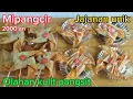 Download Lagu IDE JUALAN UNIK SIMPLE‼️MIE PANGSIT KINCIR SANGAT DISENANGI ANAK-ANAK YANG RASANYA ENAK BANGET