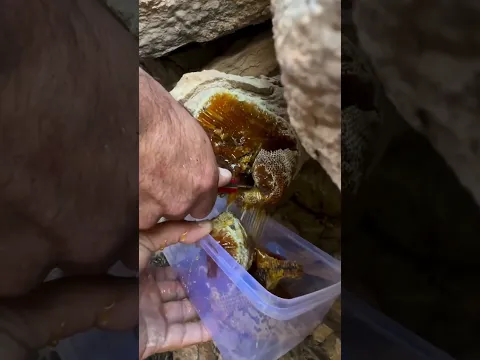 23 يونيو، 2026