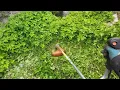 Stihl FS 56 in Action Cutting Grass with Weed Eater String Trimmer Brush cutter POV part