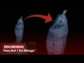Download Lagu Raak je in paniek als je een Pocong Bocil op straat tegenkomt? ‼️15 meest griezelige en angstaanj...