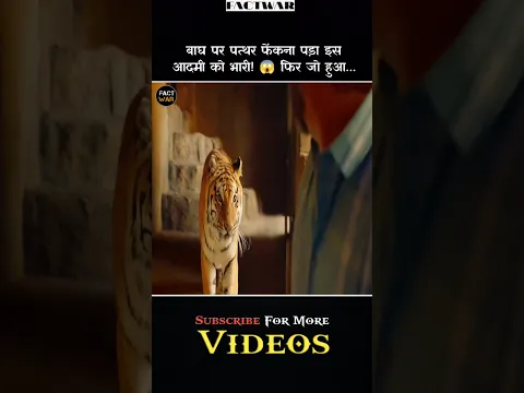 पत्थर मारना पड़ा भारी #shorts