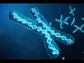 Download Lagu Regenerate your Telomeres ☥ STAY YOUNG FOREVER ☥ Anti Aging Frequencies ☥ 528 Hz Music