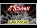 Download Lagu A Trawan