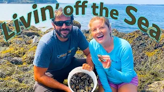 Delos & Calico Livin’ large off the Sea on our Private Island (Calico Skies Sailing, Ep 73)