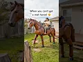 Wow! An E-Horse! For when you want a horse, but don’t have a farm! 😱👏