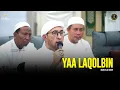 Download Lagu Versi Terbaru ‼️ Ya Laqolbin - Majelis Az Zahir | Lirik \u0026 Terjemah
