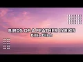 Download Lagu Billie Eilish - BIRDS OF A FEATHER [Lyrics] MP3