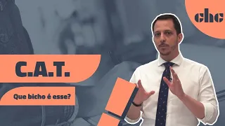 Emissão de CAT: tudo o que você precisa saber