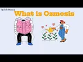The Fun Way to Learn Osmosis You ll Never Forget It