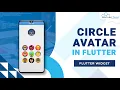 Flutter Circle Avatar Flutter Widgets Tutorial