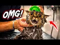 This Cat Had A LOT to Say About His First Bath