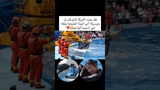 نقل حوت الاوركا الذي كان سبب في وفاة جيسيكا الى البيئة الطبيعية ونقله في المحيط الهادي 