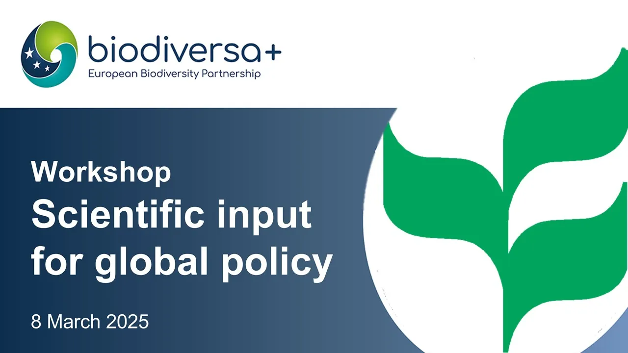Biodiversa+ Workshop: Providing scientific support to international policy processes