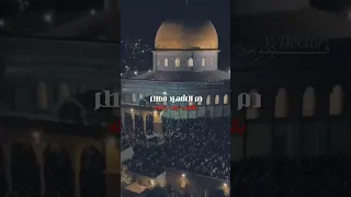 لايك اكسبلور تصميمي شيل شيل عالجمال شيل  لايك اكسبلور تصميمي شيل شيل عالجمال شيل