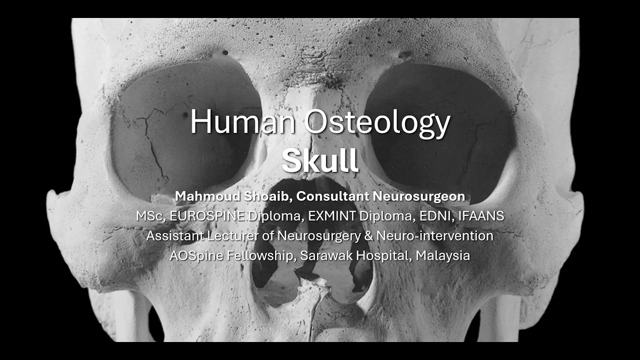Human Osteology, Skull, Dr. Mahmoud Shoaib {Arabic}