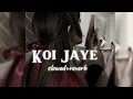 Download Lagu Koi Jaye To Le Aaye | Slowed+reverb | Ghatak | Sunny Deol | Night Vibes🎧