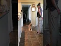 Cross Your Paws Be a Lady expert trick May 2024 1