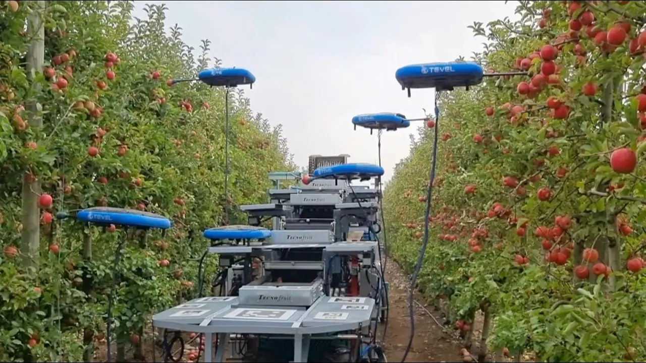Israel enlists drones, AI and big data to farm for the future | AFP