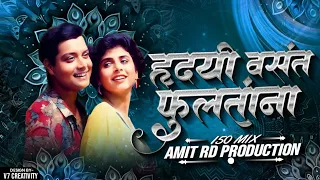 hridayi vasant phultana dhamal mix dj amit rd