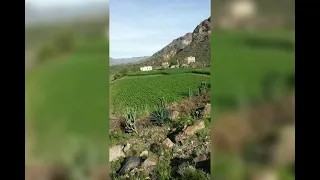 لحجي جديد الفنانه جوليا انا ربيت وغيري شل دندنها