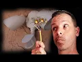 How to Install an Outdoor Light Fixture - Motion Sensor