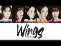 Red Velvet (레드벨벳) - 'Wings' Lyrics [Color Coded_Han_Rom_Eng]