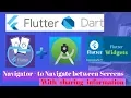 Navigator Widget - navigate between two screen by sharing information