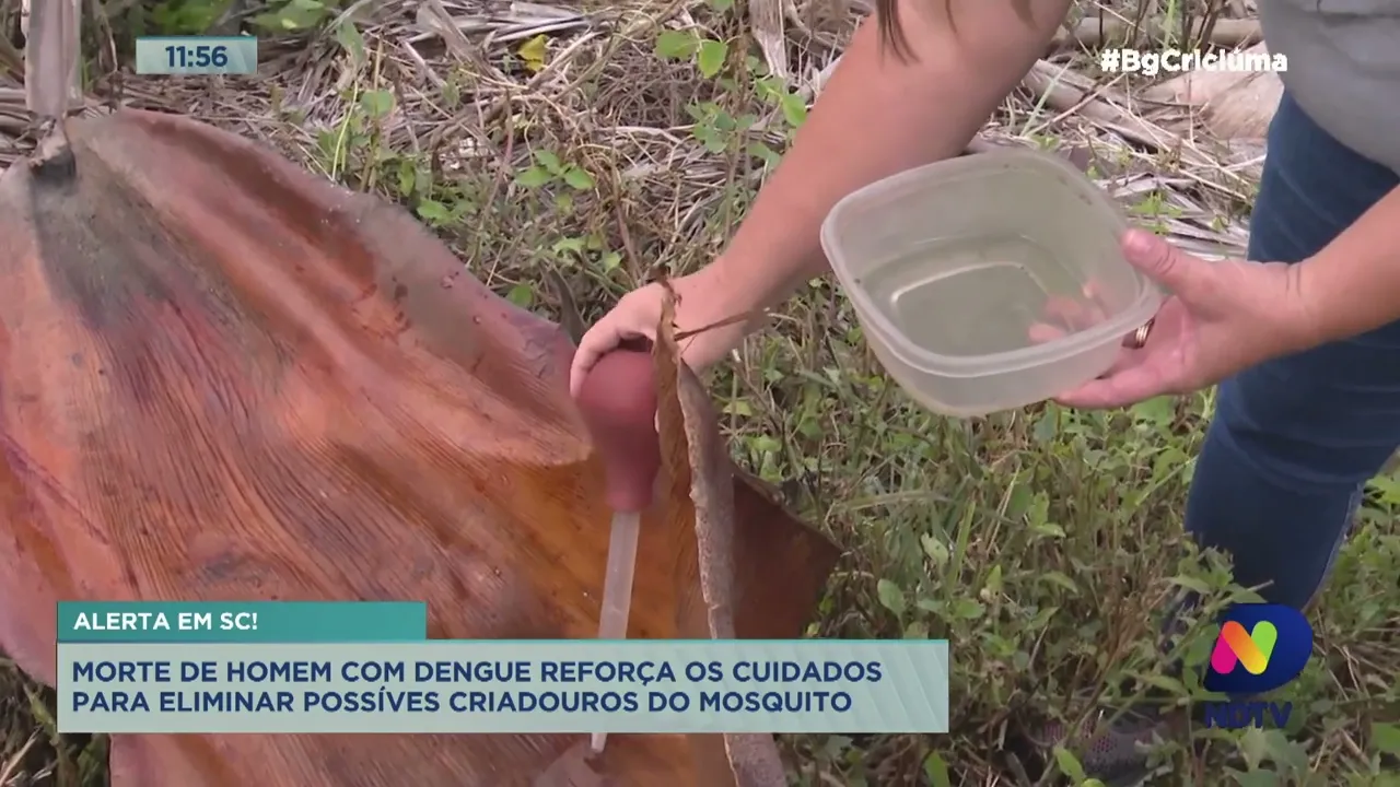 Morador de Criciúma é a primeira pessoa a morrer por dengue em SC em 2022